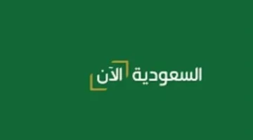 تردد السعودية نيوز HD على نايل سات 2025 يعزز متابعة تفاصيل رؤية 2030 بشكل مباشر